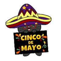 Cinco De Mayo Celebration Sticker by Silly Kitties