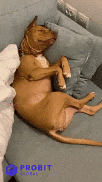 Baby Love GIF by ProBit Global