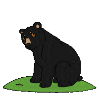 Umaine Sticker by University of Maine