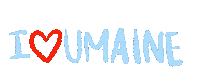 University Of Maine Love Sticker by umaine