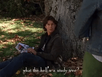 season 4 netflix GIF by Gilmore Girls 