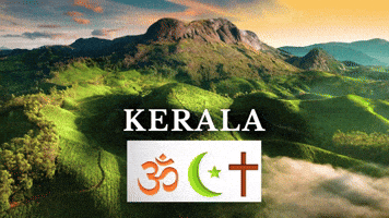 guynormal meme unity malayalam kerala GIF