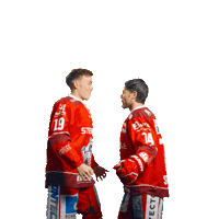 Goal Win Sticker by Eisbären Regensburg