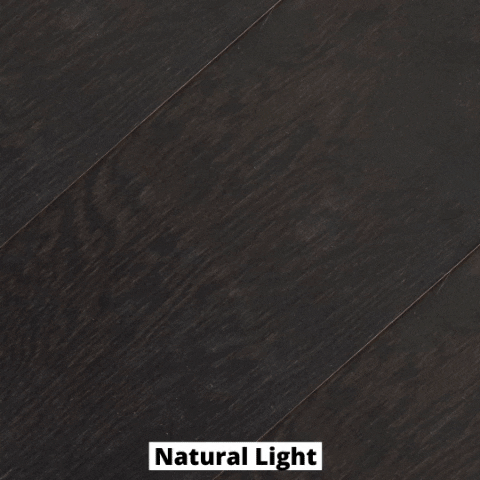 felipemonsalve63ba giphygifmaker GIF