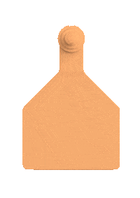 Pig Goat Sticker by datamarslivestock