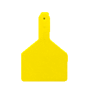 Pig Goat Sticker by datamarslivestock