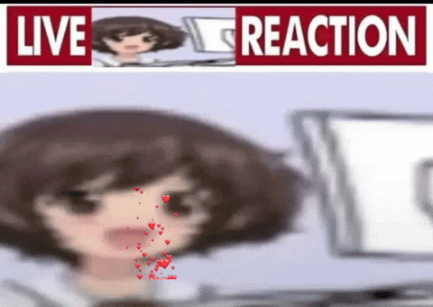 Girls Und Panzer Erika GIF