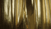 Mariah Carey GIF by VIPS