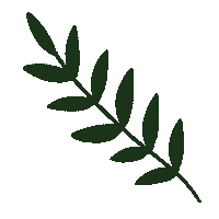 Flower Spring Sticker