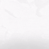 Hockey Home GIF by Eisbären Berlin
