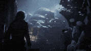 video games eidos GIF by Tomb Raider
