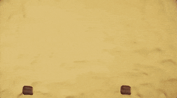 candyman GIF by Primus