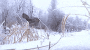 I Got It Fall GIF by Honda