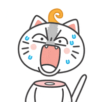 Kiki Cat GIF by KIKI