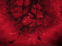 Powers Rudo GIF