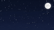 Happy Merry Christmas GIF by Dash Digital Cash