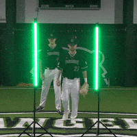 Parkside Baseball GIF by Parkside Athletics