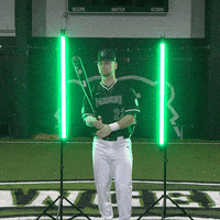 Parkside Baseball GIF by Parkside Athletics