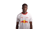 Red Bull Wow Sticker by RB Leipzig