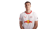 Red Bull Rbl Sticker by RB Leipzig