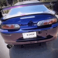 Toyota Paul GIF