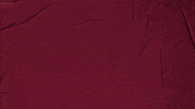 College Baseball GIF by Pearl River Athletics