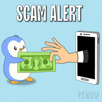 Penguins Warning GIF by Pudgy Memez