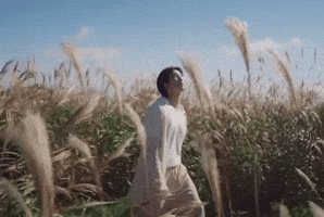Rm Indigo GIF