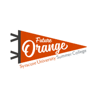 susummercollege Sticker by Syracuse University Summer College