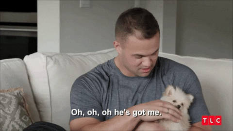 90 Day Fiance Dog GIF by TLC