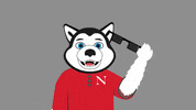 nuexperience GIF by Northeastern University