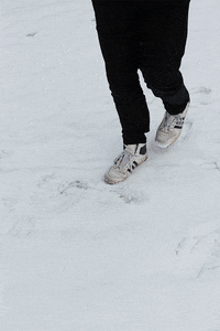 Alltag GIF