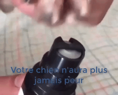 anthonyperronnet giphygifmaker GIF