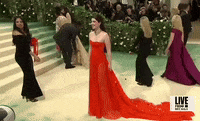 The Met Gala GIF by E!