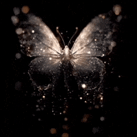 Magic Butterfly GIF