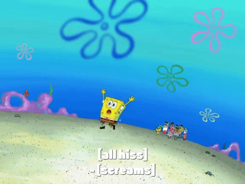 season 8 GIF by SpongeBob SquarePants