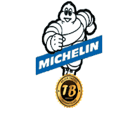 Michelin Neumaticos Sticker by Tallerbarato.com