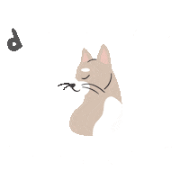 Kiskedvencekhu cat cica cuki macska Sticker