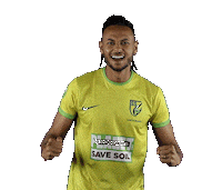 Soccer Celebration Sticker by Save Soil