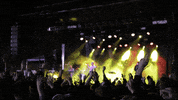 Dance Celebrate GIF by Valparaiso University