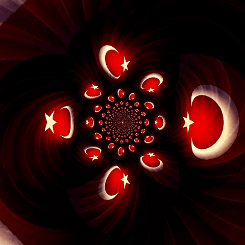 usamet2323 giphygifmaker GIF