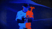 Baseball Mlb GIF by New York Mets