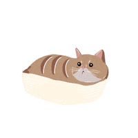 Cat Love Sticker by Lovella Organics