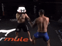 Lets Go Fighting GIF by Kanpai Pandas