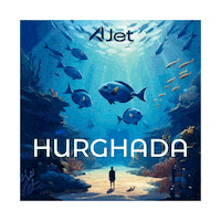 Travel Fly Sticker by AJet