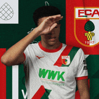 Football Bundesliga GIF by FC Augsburg 1907