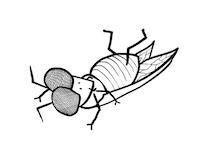 JohnnyMacc dance fly johnny wheel Sticker
