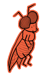 JohnnyMacc dance dancing fly johnny Sticker
