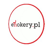 eHokery mikołaj gockowiak meble loftowe ehokery Sticker