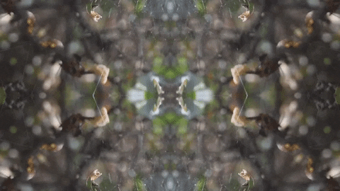 Art Love GIF by jorgemariozuleta